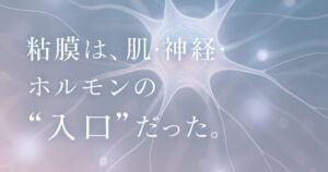 粘膜は、肌・神経・ホルモンの“入口”だった。