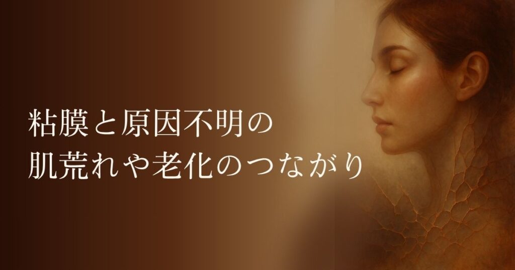 粘膜と原因不明の肌荒れや老化のつながり